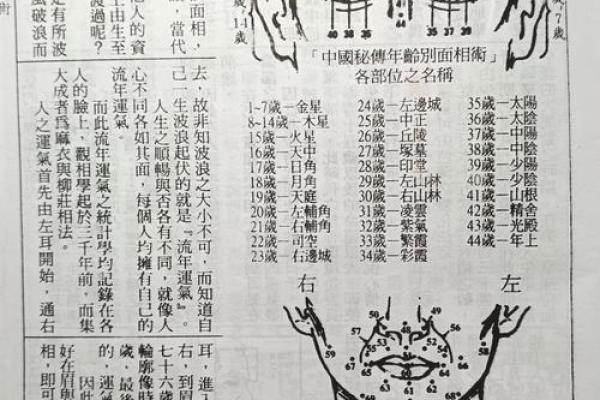 算命看什么最准