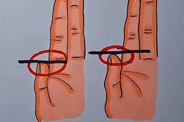 算命看什么最准