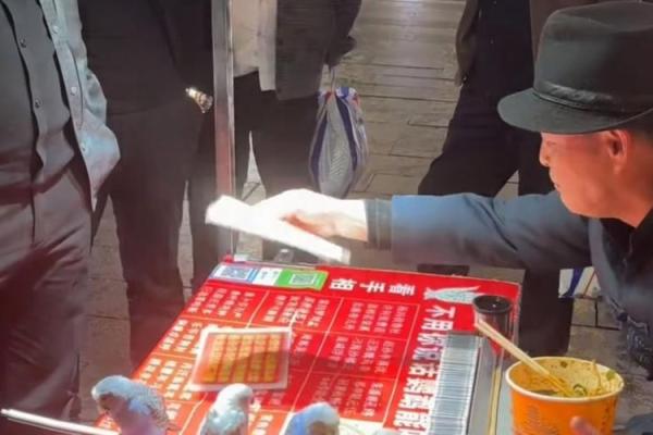 鸟算命揭秘 鸟算命揭秘