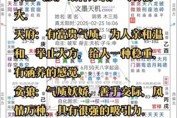 香港紫薇斗数高人 香港紫薇斗数高人