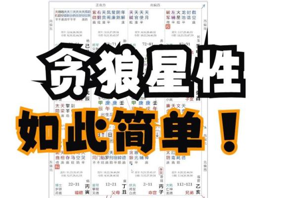 紫薇斗数贪狼化解