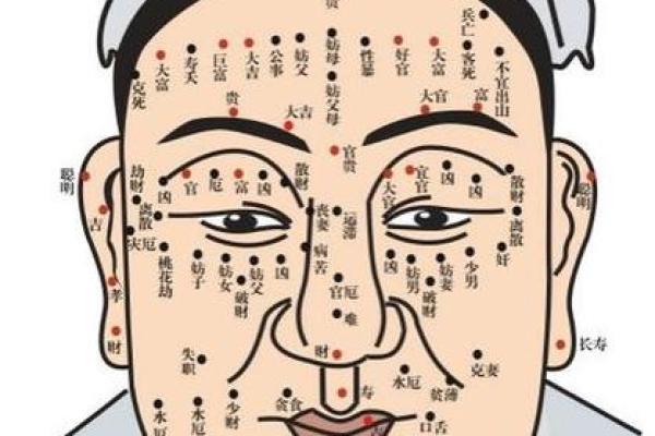 眼相算命图解大全 眼相算命图解大全