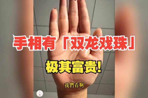 八字算命二龙戏珠 八字算命二龙戏珠