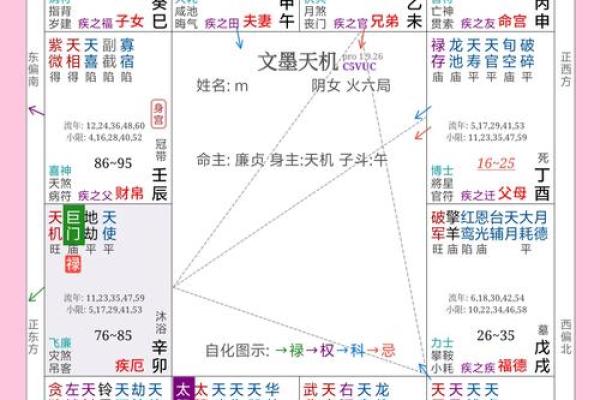 紫微斗数诸星落诸宫之,巨门星:阴土疾厄宫详解 紫微斗数诸星落诸宫之,巨门星:阴土疾厄宫详解