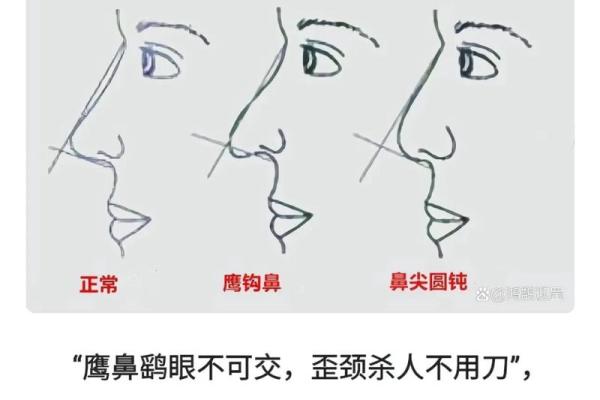 看鼻子面相算命大全
