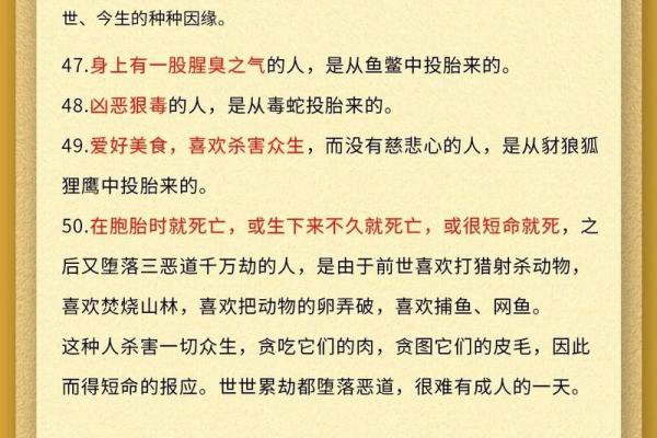 算命会算死 算命会算死