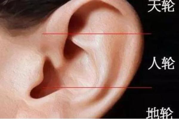 女人耳朵看相算命 女人耳朵看相算命