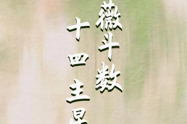 紫微斗数之各星曜所主行业：搞外销的看法