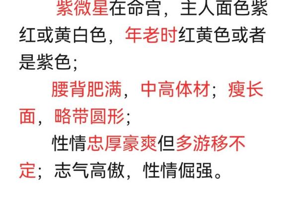 紫薇斗数丙级星 紫薇斗数丙级星