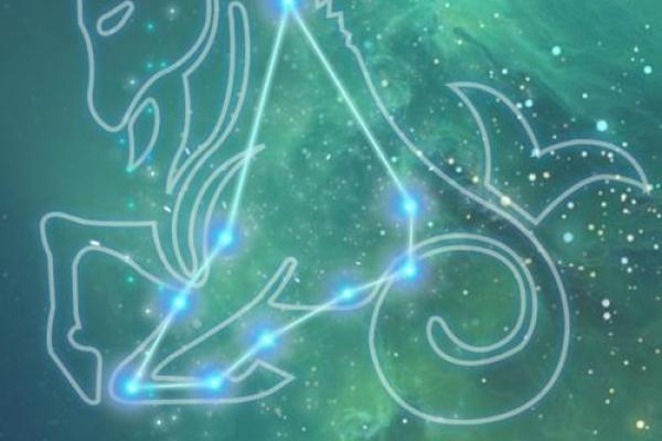 摩羯座是一个内敛的星座吗 摩羯座是一个内敛的星座吗