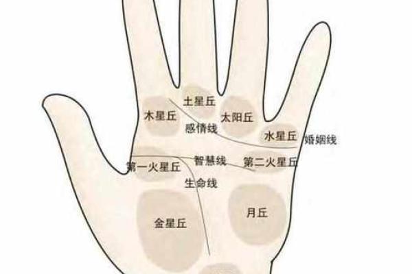 凯帝阿手相算命图解大全03 凯帝阿手相算命图解大全03