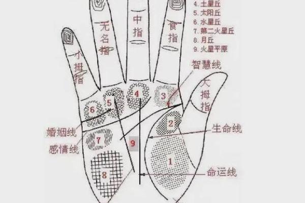 凯帝阿手相算命图解大全03 凯帝阿手相算命图解大全03