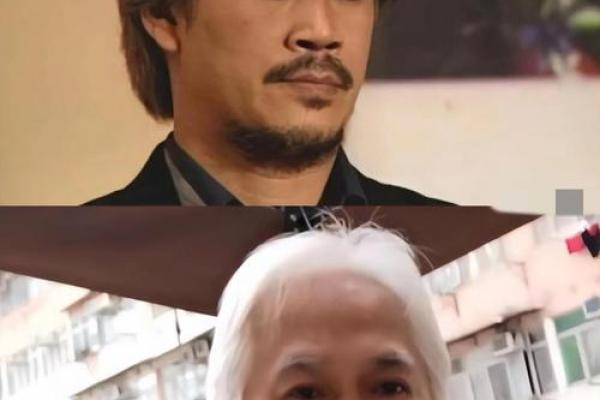 彪哥来算命完整版 彪哥来算命完整版