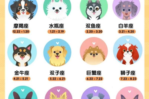 12星座适合的新兴职业 12星座适合的新兴职业