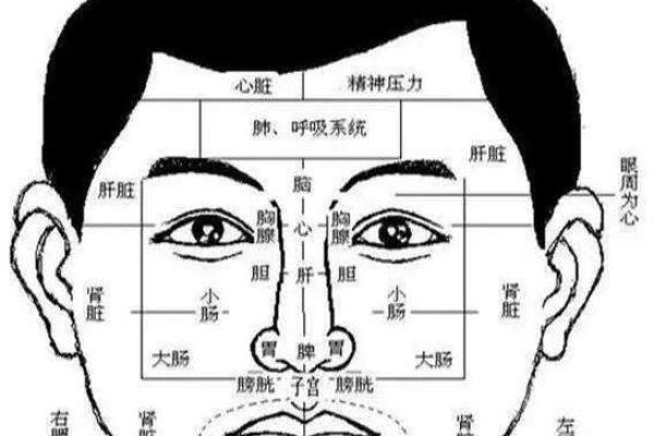 面相算命入门：五行与相貌