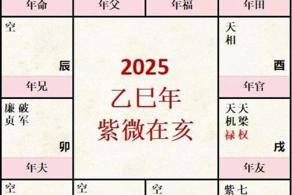 疾厄宫紫薇天相火星 疾厄宫紫薇天相火星