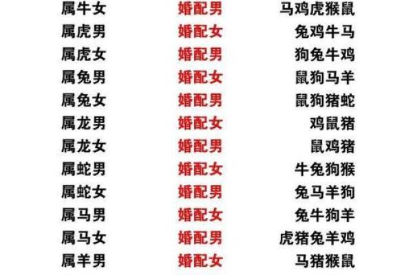 八字纯阳女生凤凰命的婚姻关系 八字纯阳女生凤凰命的婚姻关系