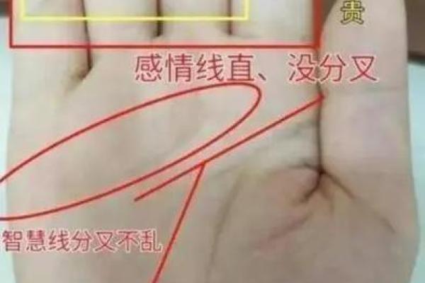 女人手相算命图解:嫁得好的手相 女人手相算命图解:嫁得好的手相