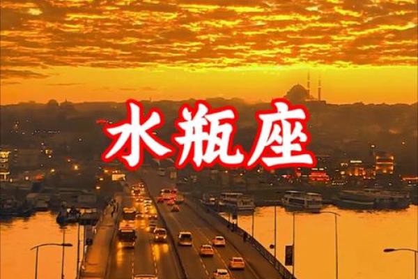 唯一管得住水瓶座的星座 最能治得住水瓶的星座 唯一管得住水瓶座的星座 最能治得住水瓶的星座