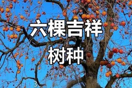 十大凶树十大吉树都是哪些风水树？