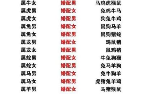 八字纯阳女生凤凰命的婚姻关系