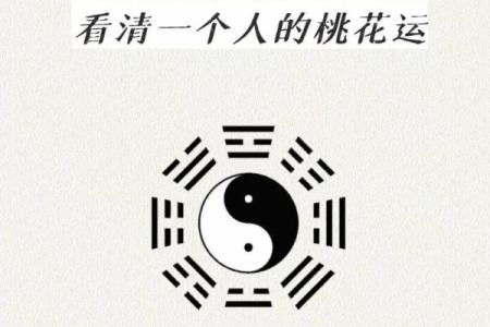 手机版八字
