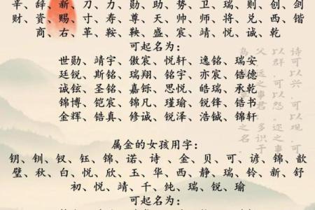 属龙酉时出生的男孩要什么名字好，适合什么字姓名