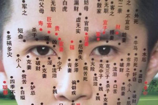 面相算命看法的特征,面相的基本看法