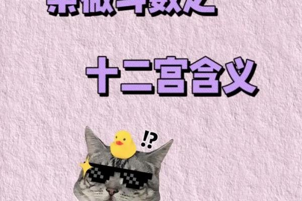 紫薇斗数手机排版 紫薇斗数手机排版