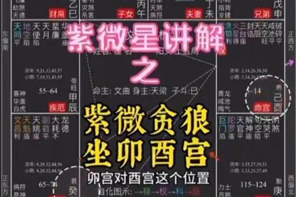 紫微斗数-贪狼星 紫微斗数-贪狼星