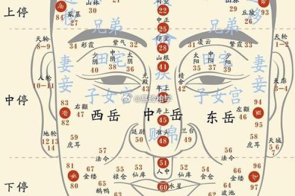 痣相算命，脸部痣相算命口诀