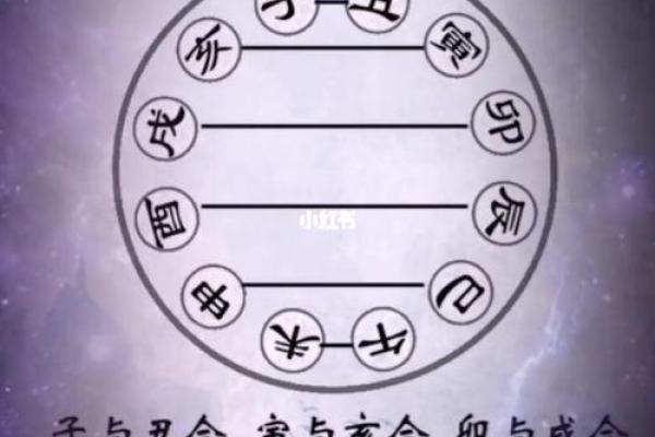 算命夫妇双方 算命夫妇双方