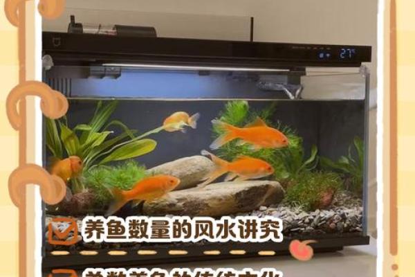 家里养鱼也有风水讲究这么一说