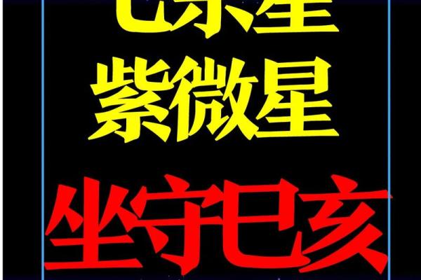 紫薇斗数小土