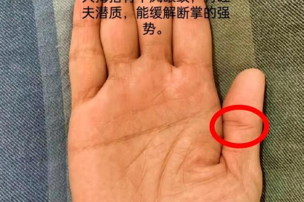 手相风水右手断掌的女人旺夫吗