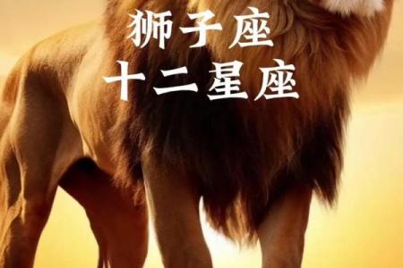 -狮子座最心疼哪个星座 狮子座最心疼的星座