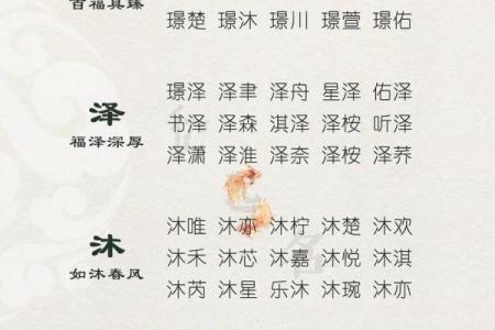 宝宝八字起名