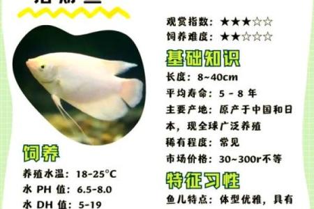 风水鱼应该养几条五行来论凶吉