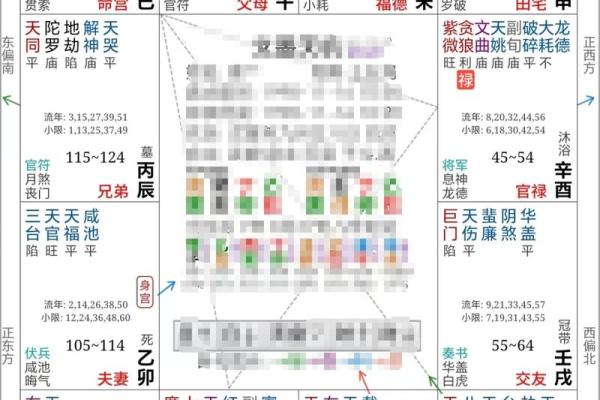 紫薇斗数星盘下载