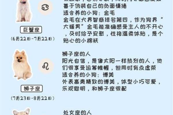 十二星座适合养什么特殊宠物狗 十二星座适合养什么特殊宠物狗