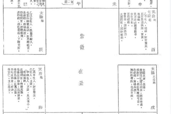 紫薇斗数算命详解 紫薇斗数算命详解