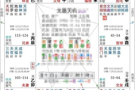 紫薇斗数星盘下载