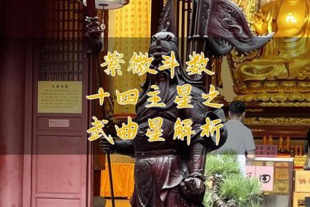 紫薇斗数中的武曲坐命需要注意什么呢？