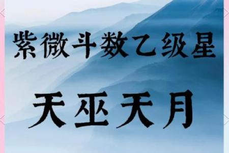 紫微斗数之诸星值限年运气推断：华盖星之年