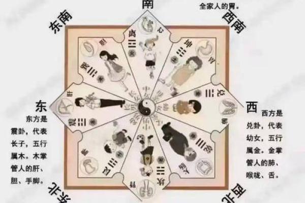 八大吉祥富贵风水,不可不知道 八大吉祥富贵风水,不可不知道
