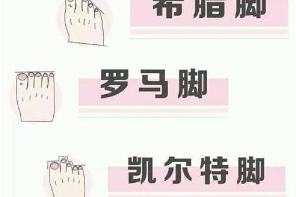 女人脚纹算命图解,脚丑的女人的命运