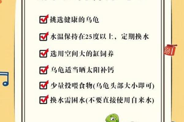 住宅养龟风水禁忌有什么说法作用 住宅养龟风水禁忌有什么说法作用