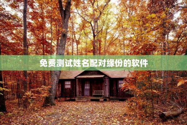 姓名配对缘分结婚 姓名配对缘分测试98%下载软件？