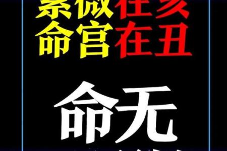 紫薇斗数看理财