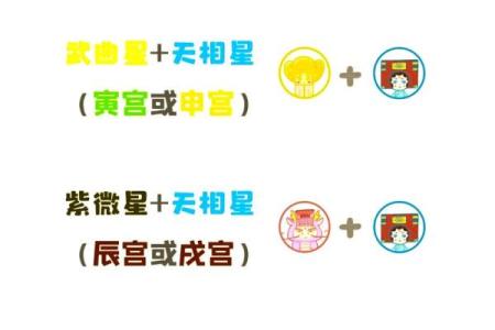 紫薇斗数星耀太多